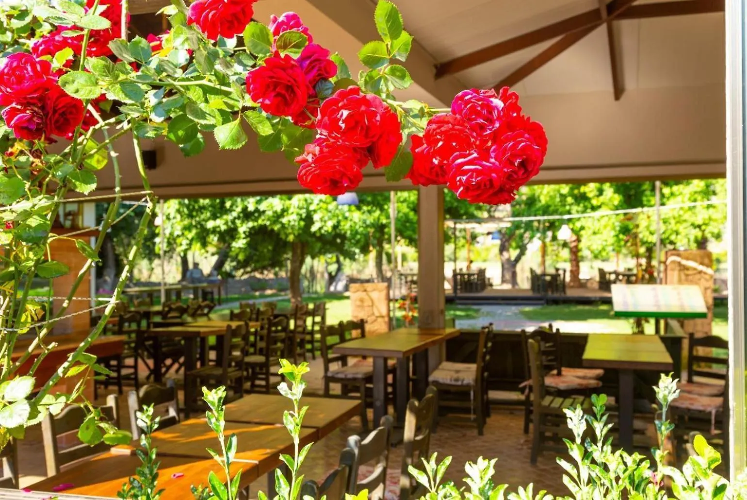 Villa Bercu Paradise ダルヤン